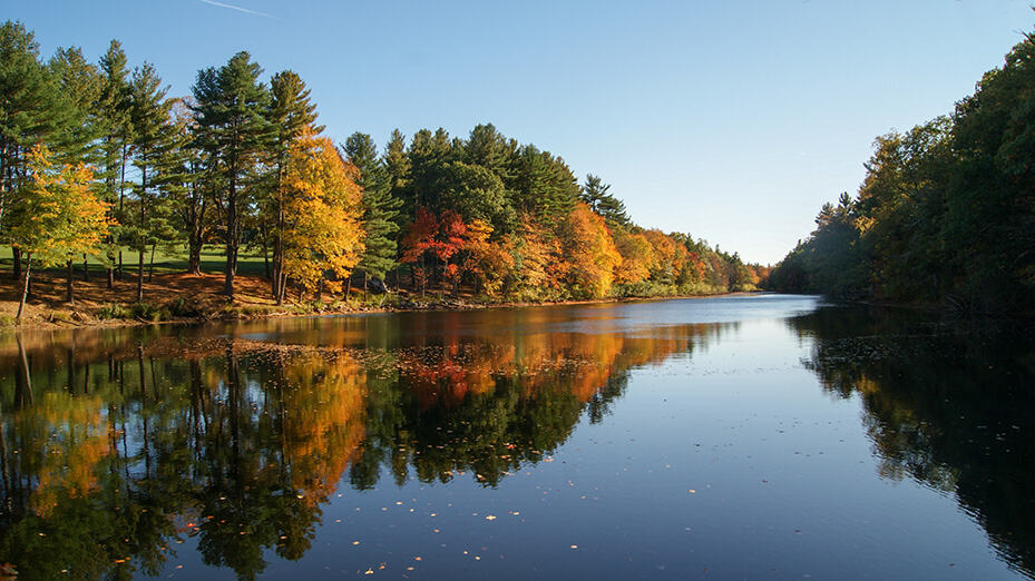 Trees lining river in the fall with blue sky